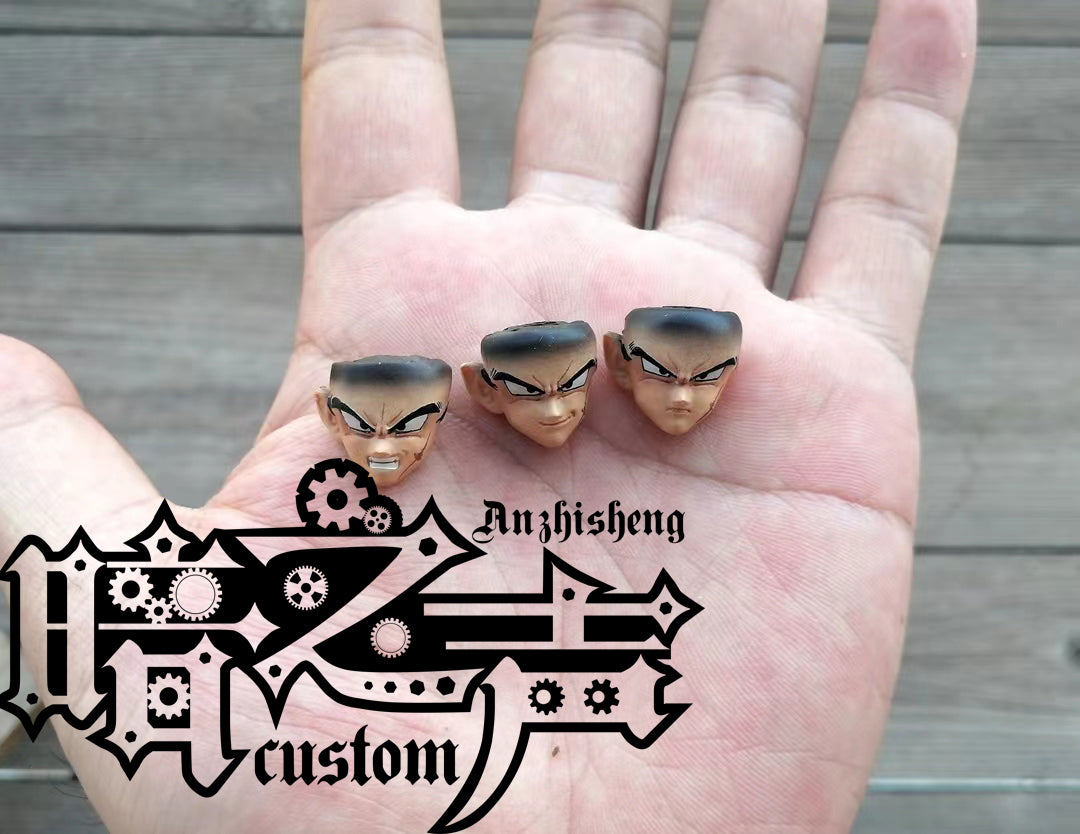 Dragon Ball Customization BDS shaped Bardock