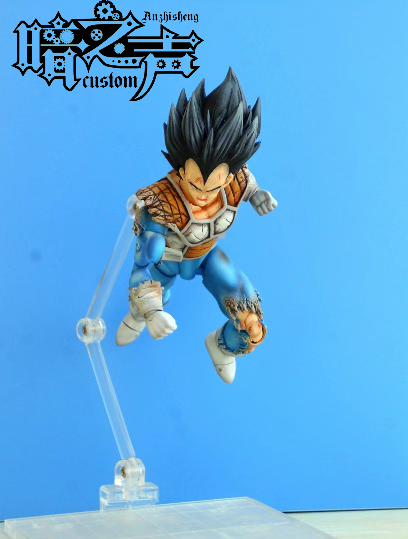 Dragon Ball Customization Vegata