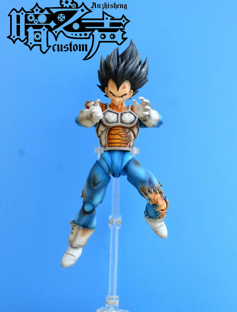 Dragon Ball Customization Vegata