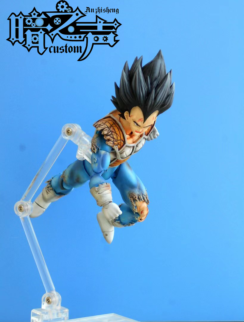 Dragon Ball Customization Vegata